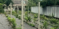 Фото: администрация Кировского округа - Sk-News.Ru