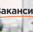 ВНИМАНИЕ! ВАКАНСИЯ!. - Пестяковский район