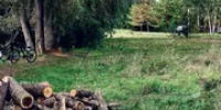 В Башкирии супруги-грибники заблудились в лесу - Башинформ