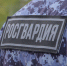 Фото: https://58.rosguard.gov.ru/ - Penza-Post.Ru