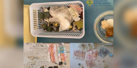 В Москве задержана женщина, обманувшая мать тяжелобольного ребенка на 2,5 млн руб - M24.Ru
