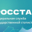 Территориальный орган Федеральной службы государственной статистики по Новосибирской области информирует - Карасукский район