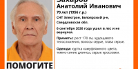 В Белоярском районе 70-летний пенсионер ушёл в лес и пропал - ИА Уральский меридиан