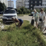 Жители Краснодара очистили более 92 тысяч кв. м территорий пред Днем города - Комсомольская Правда