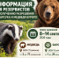 Информация для резервистов по получению разрешения на  барсука и медведя бурого! - Министерство природных ресурсов и экологии