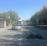 В Новосибирске попал под колеса 16-летний водитель питбайка - Precedent.TV