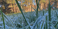 В Карелии ударят заморозки - Gubdaily.Ru