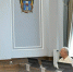 Депутаты Дона обсудили проблему ликвидации несанкционированных свалок на государственных землях - Газета Родионово-Несветайский вестник