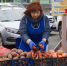 Сезон урожая - Собрание депутатов г. Магнитогорска