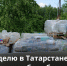 Сдай батарейку – спаси ежа! Через неделю в Татарстане стартует акция по сбору батареек - Министерство экологии