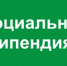 Социальная стипендия. - Плесецкий муниципальный округ