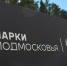 Сдать ненужные вещи, собрать отходы на переработку и поиграть в игры: экологический фестиваль пройдёт в Шишкином лесу - Истра.РФ