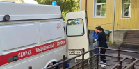 В Бурятии медведь насмерть загрыз мужчину: что известно - ВостокТелеИнформ