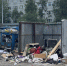 В Мурманске объявили тотальную битву с крысами - SeverPost.ru