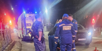 Во Всеволожске сотрудники Росгвардии оказали помощь двум женщинам, пострадавшим в ДТП на пешеходном переходе - Росгвардия