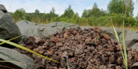 Археологи собрали 500 кг металлургических шлаков на поселении Горожане - Псковская правда