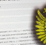 Житель Балашова пополнил список террористов и экстремистов - Balashover.Ru
