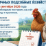 Вниманию владельцев личных подсобных хозяйств: с 1 сентября 2026 года необходимо поставить на учёт птицу и кроликов - Администрация Октябрьского района