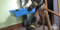 В Коврове пожарные спасли кролика из горящей квартиры - 6tv.Ru