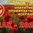 В регионе стартовал третий этап оперативно-профилактической операции «Мак — 2026» - Газета Народная трибуна