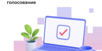 Чувашская Республика вошла в топ-5 регионов России по числу заявлений на дистанционное электронное голосование - Министерство информационной политики