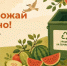 В Наро-Фоминском округе работают пункты приёма яблок и бахчевых - Администрация Наро-Фоминского г.о.