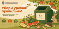 В Наро-Фоминском округе работают пункты приёма яблок и бахчевых - Администрация Наро-Фоминского г.о.