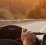 🚗 5 привычек за рулем, которые помогут сохранить здоровье - Городское поселение Октябрьское