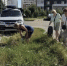 В Краснодаре на субботниках уже собрали 470 кубометров мусора - Газета Кубань Сегодня