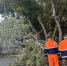 За неделю в Новосибирске вывезли более 2 тысяч кубометров мусора - Gorsite.Ru