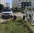 В Краснодаре на субботниках очистили более 92 тыс. квадратных метров территорий - Кубанские Новости