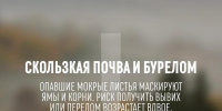 За период с 31 августа по 6 сентября в Систему-112 Одинцовского округа поступило свыше 9200 обращений - Городской округ Одинцово