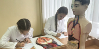 Будущие врачи: в Вологодской области новое поколение медицинских работников готовят со школьной скамьи - Правительство Вологодской области