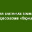 Школьники из Липецкой области завоевали бронзовую награду на всероссийской военно‑патриотической игре «Зарница 2.0» - Народное слово
