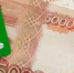 Ставропольчанку подозревают в краже 100 тыс. рублей у соседа-пенсионера - ИА Победа 26