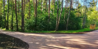 В парке «Сосновка» обновили 2 тысячи квадратных метров дорожек - Петербургский дневник