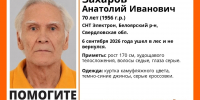 Ушел в лес и не вернулся: в Белоярском районе ищут пропавшего 70-летнего пенсионера - КП Екатеринбург