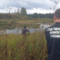 В водоемах Кировской области нашли два тела за неделю - Prochepetsk.ru