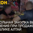 Магазины стали барами: как в Республике Алтай обходят ограничения на продажу алкоголя - Сетевое издание Толк