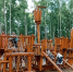 Итоги туристического сезона - Газета Искра
