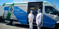 В Костроме пройдет бесплатная вакцинация домашних животных - Комсомольская Правда