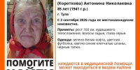 Пропала 85-летняя Антонина Сафонова: туляков просят проверить видеорегистраторы - ИА Тульская пресса.Ru