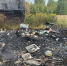 Дача, частный дом, две машины и мусор горели 6 сентября в Ивановской области - Известно.ру