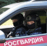 Курские росгвардейцы предотвратили кражи и задержали четырех человек за неделю - Курская правда
