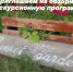 Прочее - Riac34.Ru