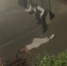 Скриншот видео канала Мой Таганрог - RuffNews.Ru