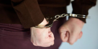 Жителю Краснодара грозит до трех лет лишения свободы за расправу над собакой - Комсомольская Правда