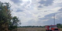 Лесной пожар под Субботинским потушили за сутки в Самарской области - Самарская Газета