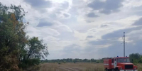 Пожар перешел с полей в лес в Самарской области - Комсомольская Правда Самара
