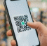 Туристы из России могут оплачивать счета в Индонезии и на Филиппинах по QR-коду - ИА Победа 26